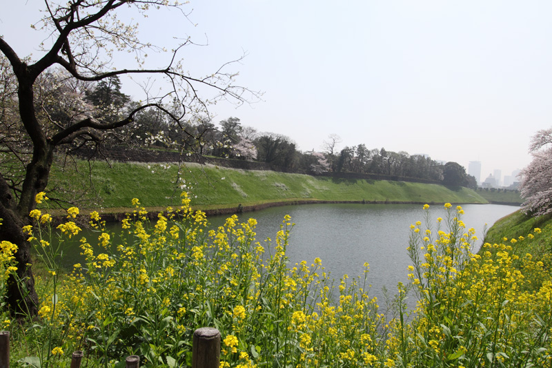 半蔵濠、千鳥ヶ淵公園