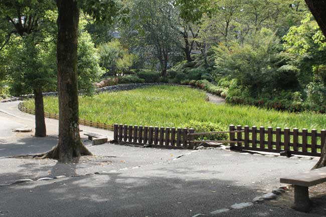 二の丸から本丸へ