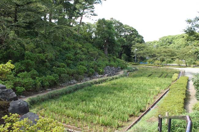 二の丸から本丸へ