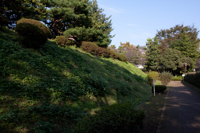 本丸土塁