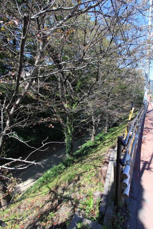 上田城 二の丸東虎口